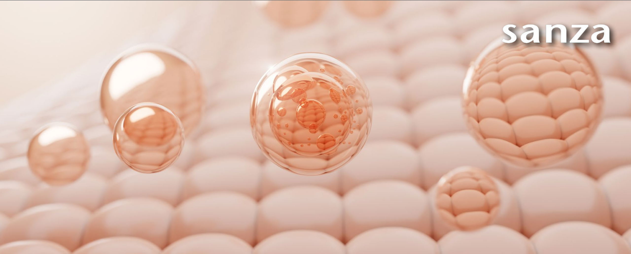 Effective Active Ingredients